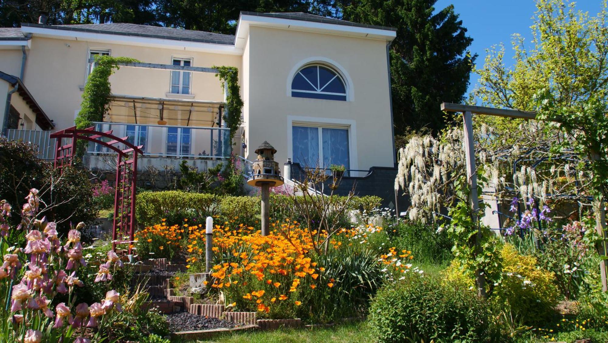 Saint-Éloy-les-Mines La Cadanise, Suite Du Parc מראה חיצוני תמונה