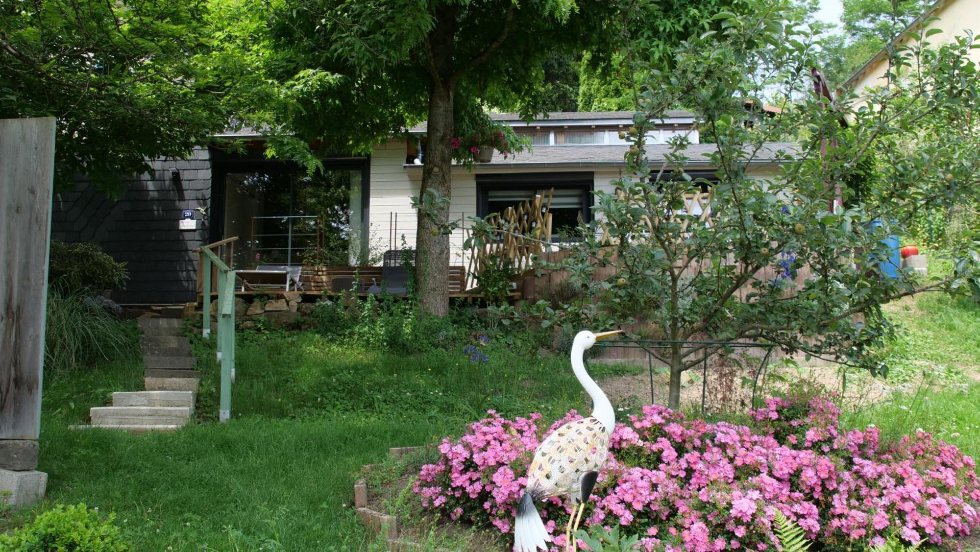 Saint-Éloy-les-Mines La Cadanise, Suite Du Parc מראה חיצוני תמונה
